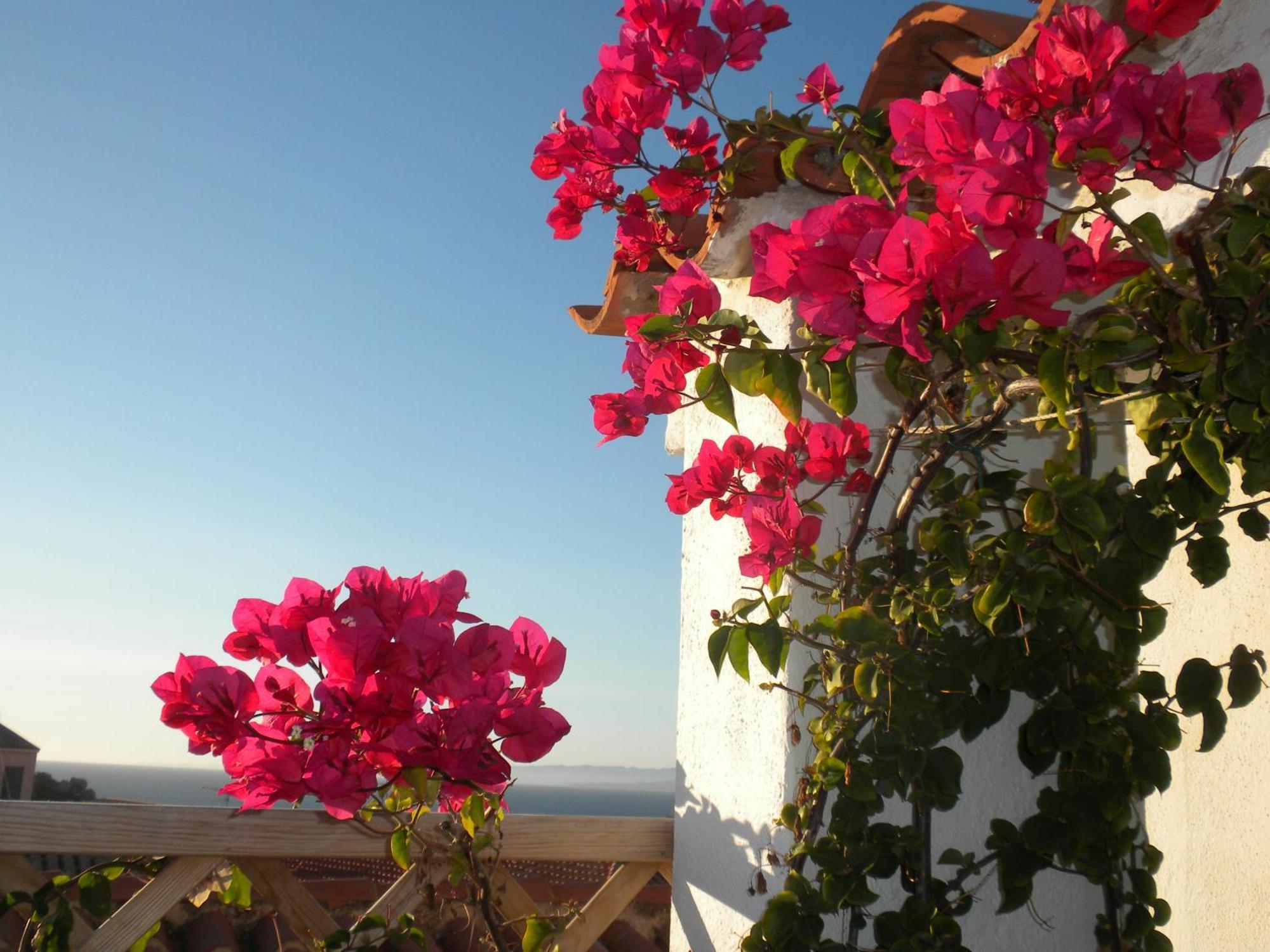 Domus De Janas Bed and breakfast *